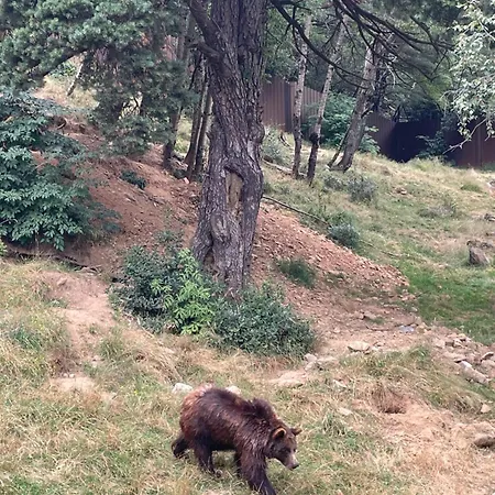 La Casita De Nicolas Lägenhet Escarrilla