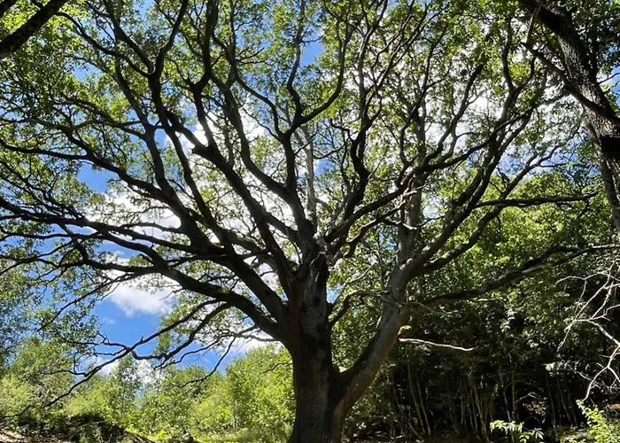 Lägenhet La Casita De Nicolas *